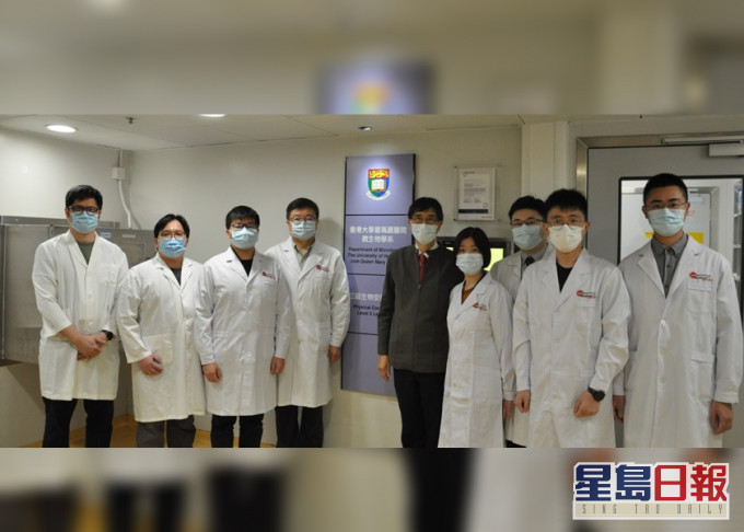 港大医学院与海外大学研究团队发现,新冠病毒在动物鼻腔感染力强,疫苗无法完全预防。港大提供图片