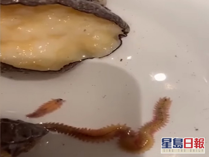 江苏食客投诉鲍鱼有活虫。影片截图