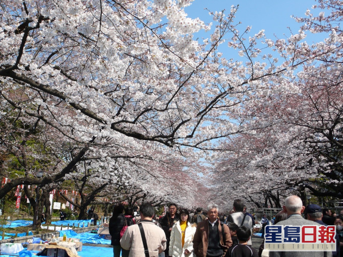 预订机票的旅游日期,适用于今年11月1日至明年3月26日期间,往来香港与日本的航班。资料图片