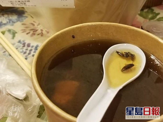 網民驚見隨湯附送3隻曱甴。柴灣人柴灣事FB