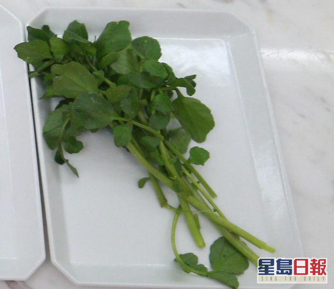 西洋菜。資料圖片