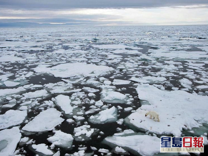近日有研究發現,北極地區的「微塑膠」污染問題,很可能與歐洲或北美民眾清潔合成纖維衣物有關。網圖