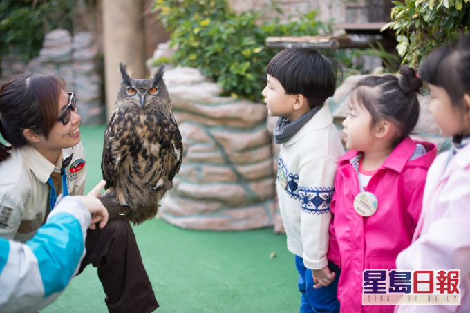有小朋友會到海洋公園認識禽鳥及動物。資料圖片