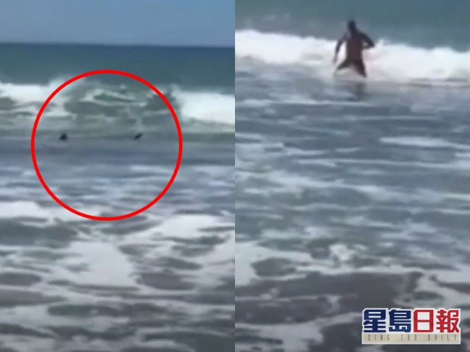 他在海滩游水时竟发现背后有2条鲨鱼鳍在后跟随著他。影片截图