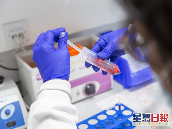 帝国理工学院若研制成功疫苗可望明年面世。图:帝国理工学院