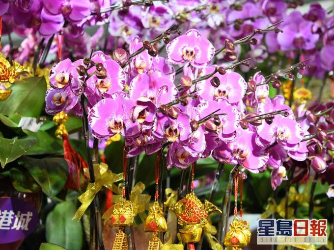 有花農認為,市民在今年新重的消費意慾想當樂觀。