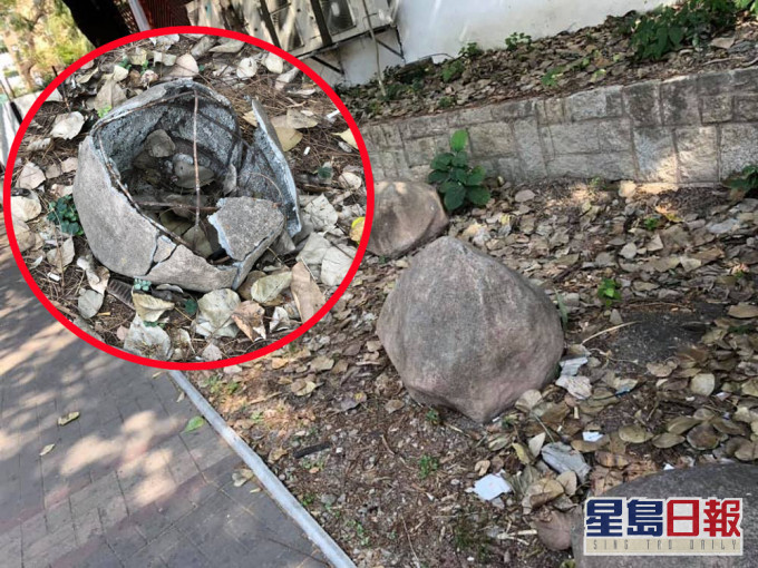 該石頭表面上與一般石頭無異。大埔TaiPo FB