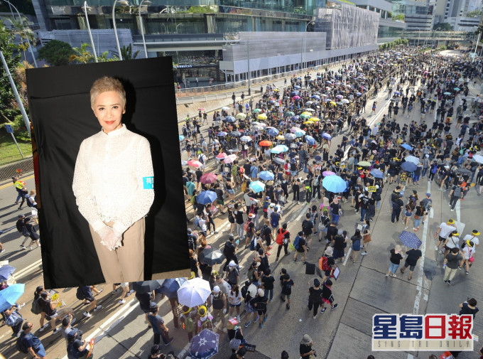 藝人葉德嫻亦有參與遊行。小圖為資料圖片