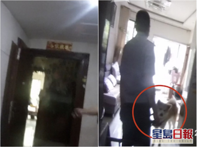 男子報警發現打開門是自己養的狗。網上圖片