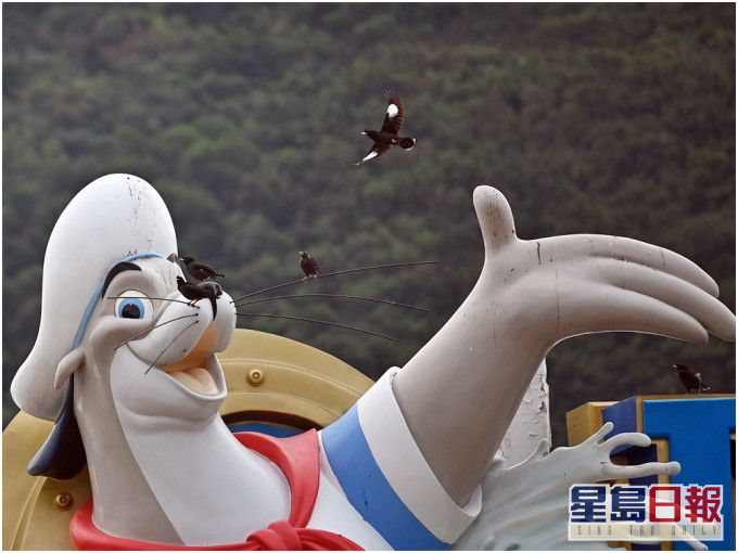 邱腾华指在海洋公园转型期间,当局要在现金流上帮一把。