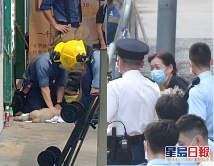 消防员当场为狗急救其后不治。
