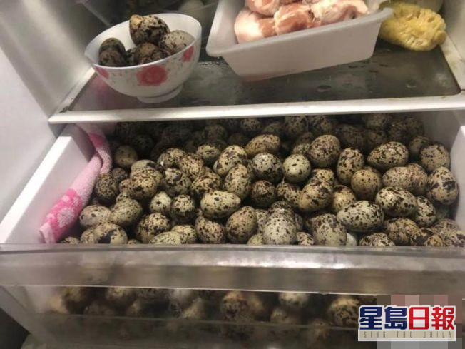 孔女家的冰箱滿是野生鳥蛋。網圖