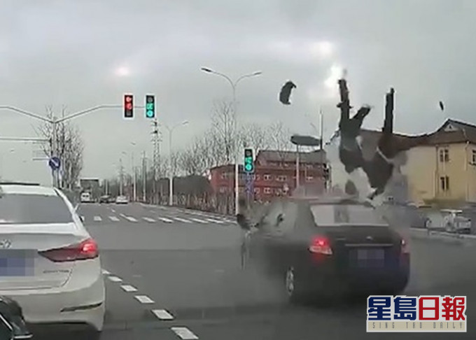 上海有電單車司機疑不當駕駛遭撞飛,導致一死一傷。網圖