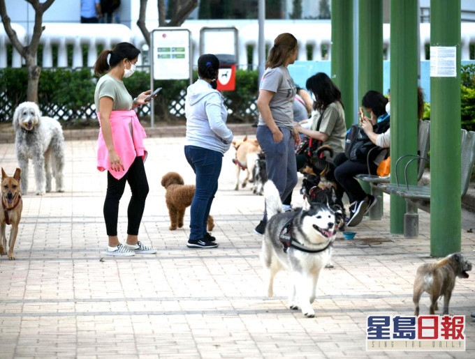 愛協提醒,寵物主人採取額外的預防措施以提升寵物的清潔程度。