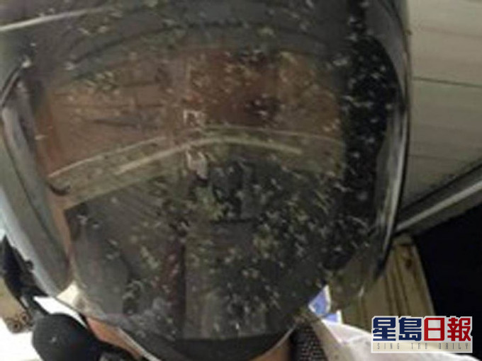 男子由頭盔至上衣全佈滿密密麻麻的蚊子屍體。圖:爆廢公社