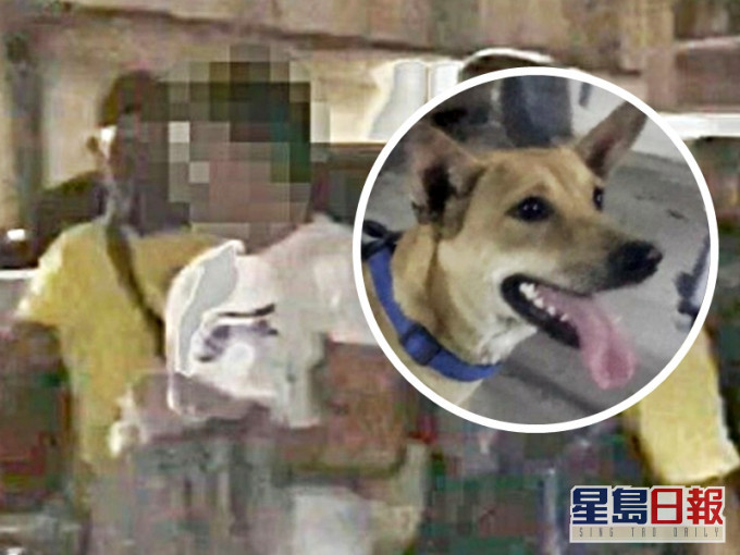 泰国一名男子因长期被邻居的狗吵到无法入睡,竟开枪击毙男女户主。网图