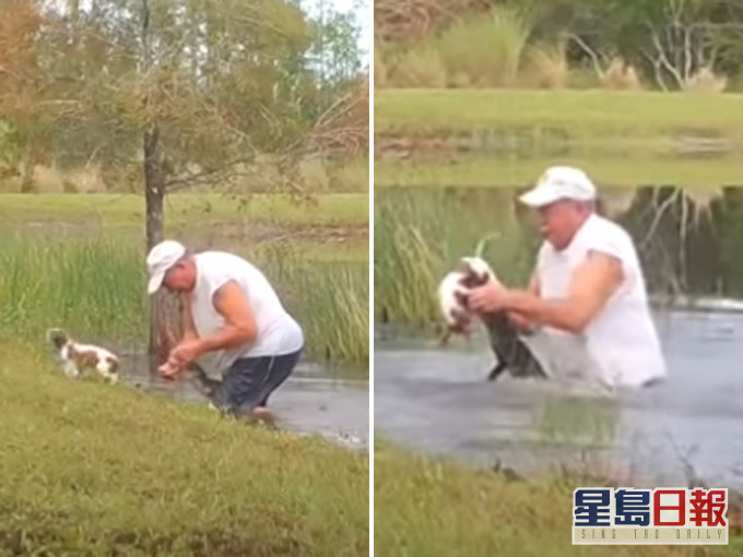 美國74歲老翁為救愛犬 ,跳入湖中徒手掰開鱷魚嘴。(網圖)