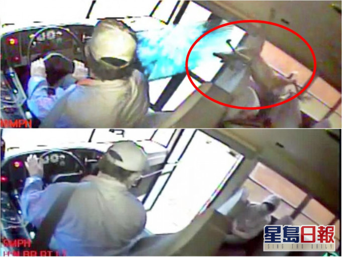 野鹿撞破校車的擋風玻璃。網圖