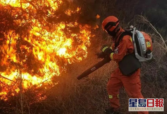 内地森林消防员(非当事人)。 网图