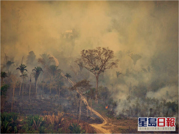巴西亞馬遜雨林砍伐12年來最嚴重。Greenpeace圖片