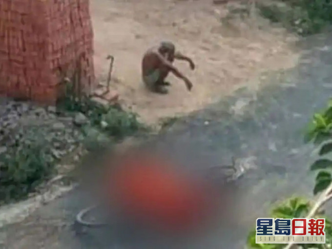老翁蹲在路邊休息,單車和妻子的遺體倒在路中間,畫面無助又悲傷,令人心酸。(網圖)