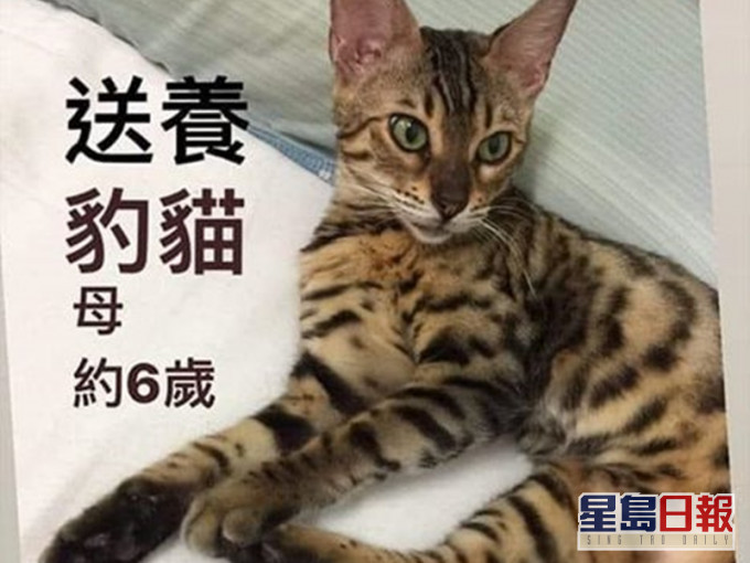 网民Seika Chan FB图片