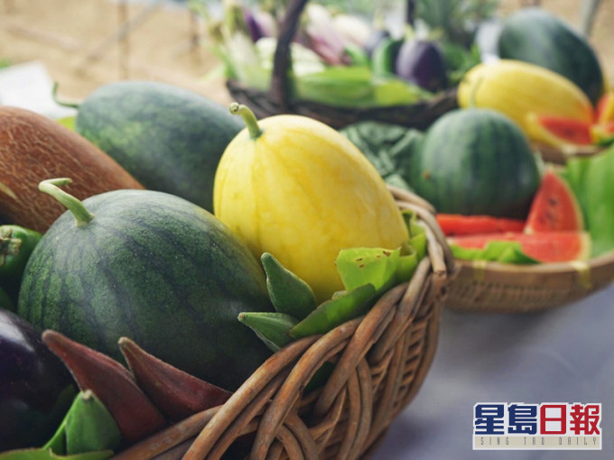 三款特色西瓜中,以台灣的黃皮紅肉西瓜「超甜黑美人618」最為清甜。