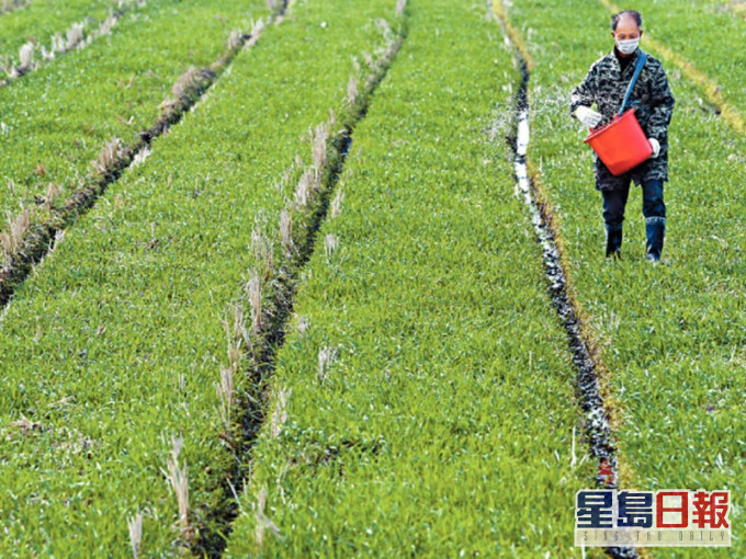 新型肺炎疫情恐影响春耕进度,减低粮食收成量。
