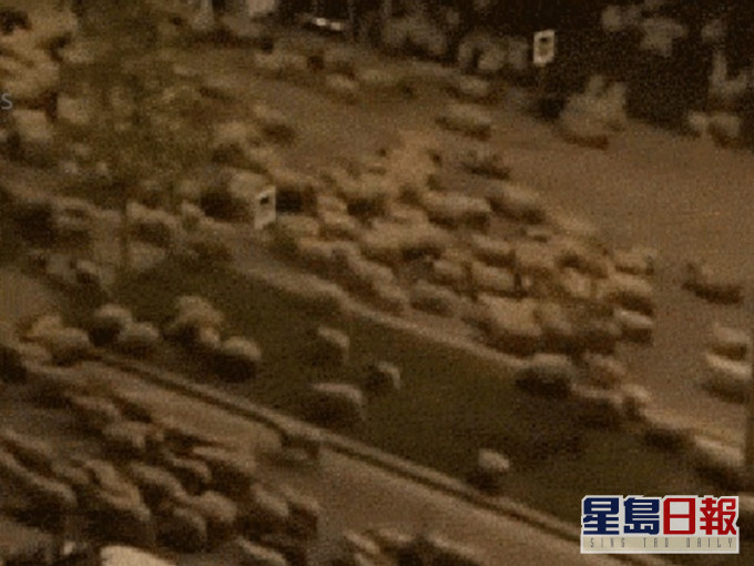 數百隻羊咩湧入街道霸佔了整修馬路。網圖