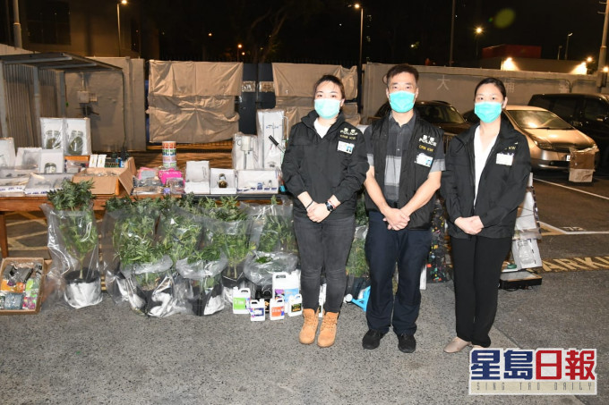 失業外籍中學教師涉種大麻被捕。