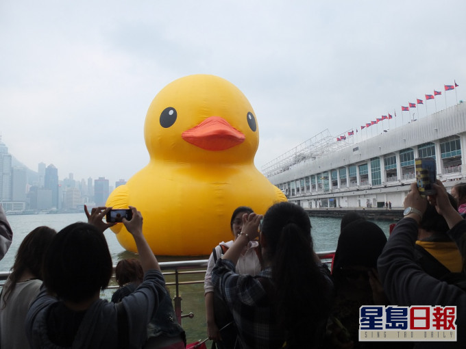 「黃鴨」2013年吸引不少港人打卡。資料圖片