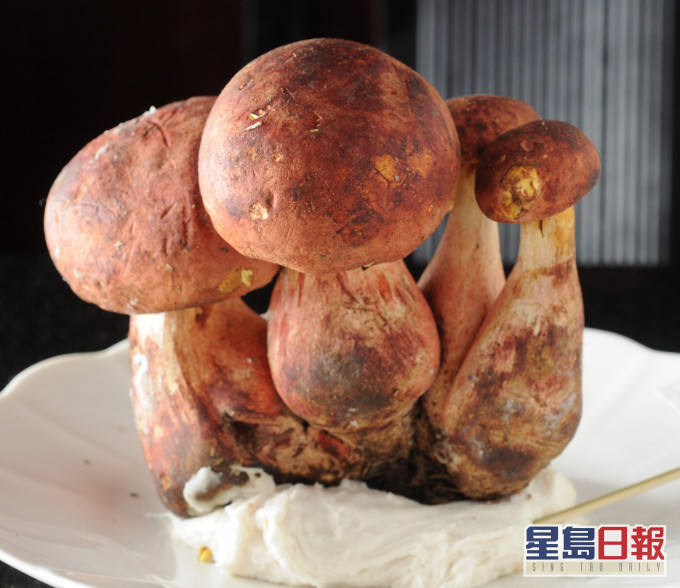 牛肝菌。資料圖片