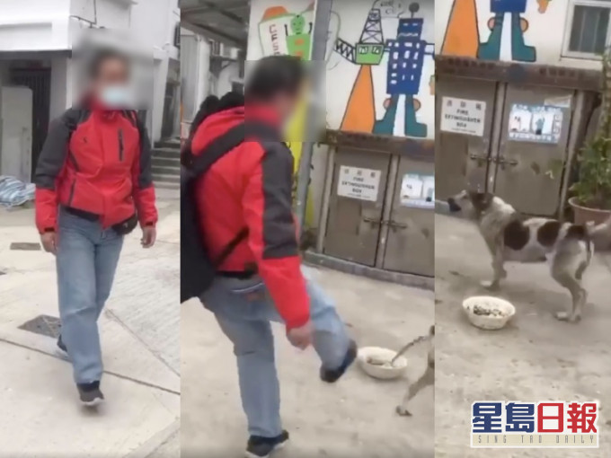 大叔公然踢狗。香港動物報FB