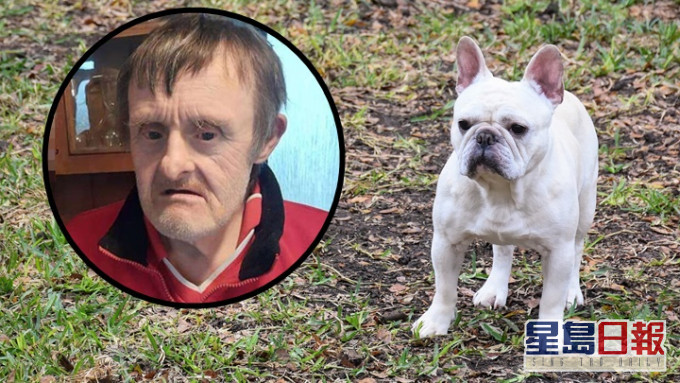英國患唐氏綜合症的68歲男子威廉(小圖)，疑被鄰居養的老虎狗咬死。背景為Pixabay示意圖，非涉事犬隻