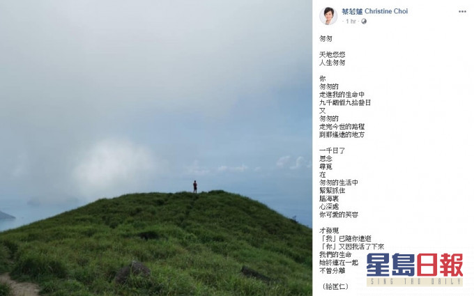 蔡若莲在社交平台写诗悼离世长子。