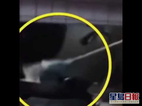 網民揭燒烤店用掃把清理油鍋與灶台。網圖