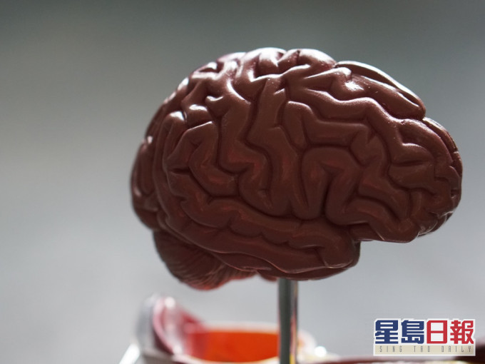 牛津大學一項研究顯示會新冠肺炎或對腦部造成損害。Unsplash圖片