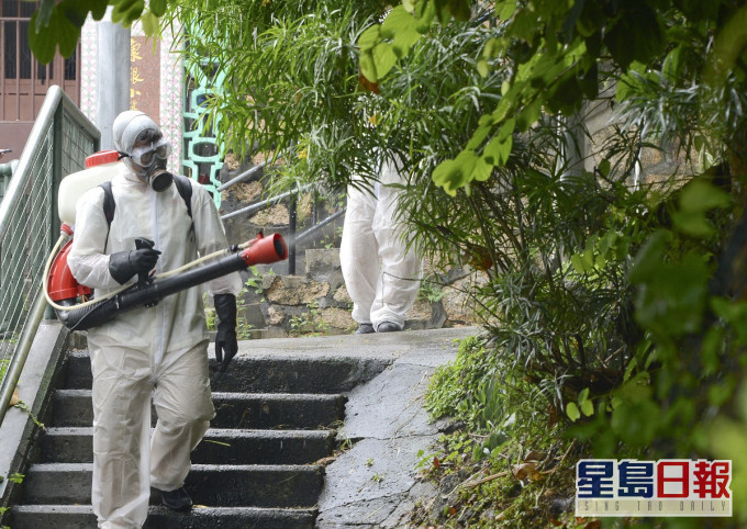 長洲的誘蚊器指數是25.6%,代表監察地區內超過五分一地方都有白紋伊蚊滋生。資料圖片