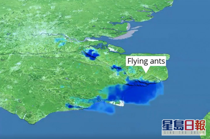 英國氣象雷達誤測「飛蟻大軍」為雨雲。 英國氣象局Twitter影片截圖