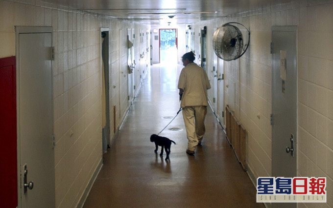 監獄內有數十名懲教人員被指控粗暴毆打及性侵犯女囚犯。AP圖片