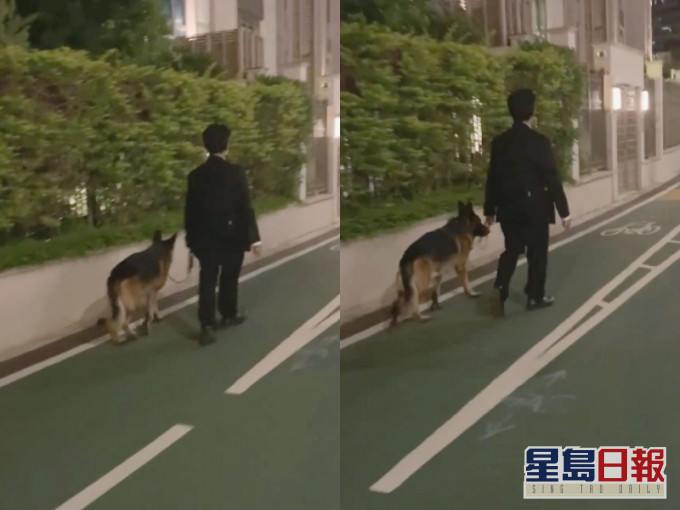 巡逻犬走路疑「拐下拐下」。猫猫狗狗保护及领养区(香港)FB影片截图
