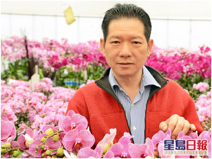 兰花花农杨小龙指维园地方又大又空旷,质疑为何怕人多。资料图片