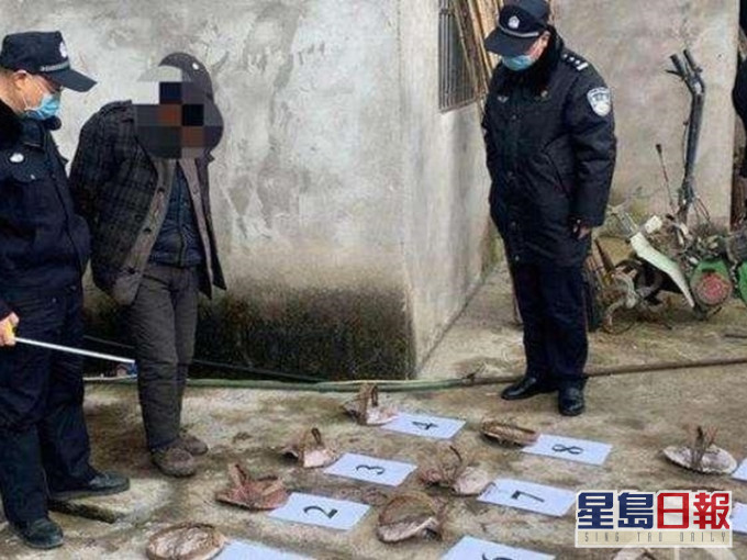 公安機關搗破逾900隻野生動物。網圖
