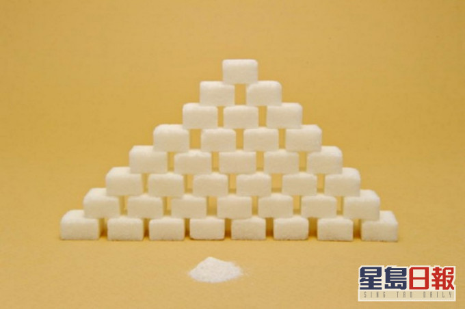 食安中心圖片。