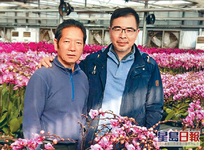 大棧老細Sam哥(右)拔刀相助,幫老友楊小龍代賣蘭花。