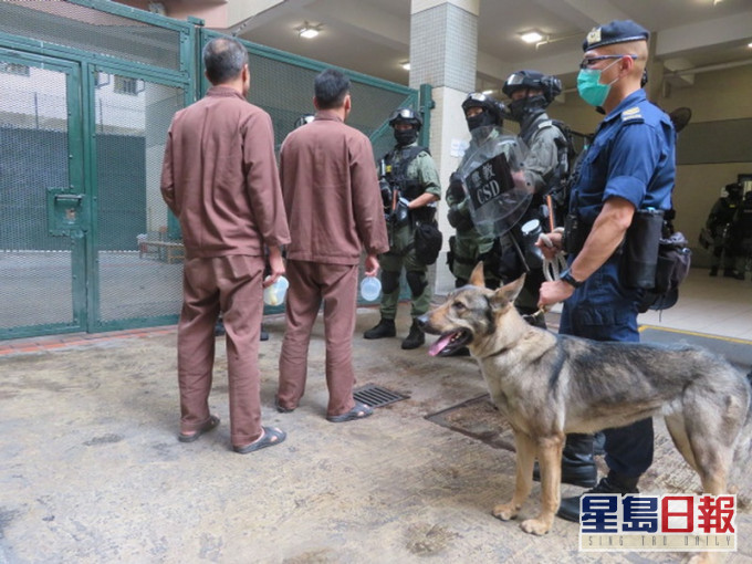 惩教署打击大榄惩教所内非法活动,突击搜查囚犯。