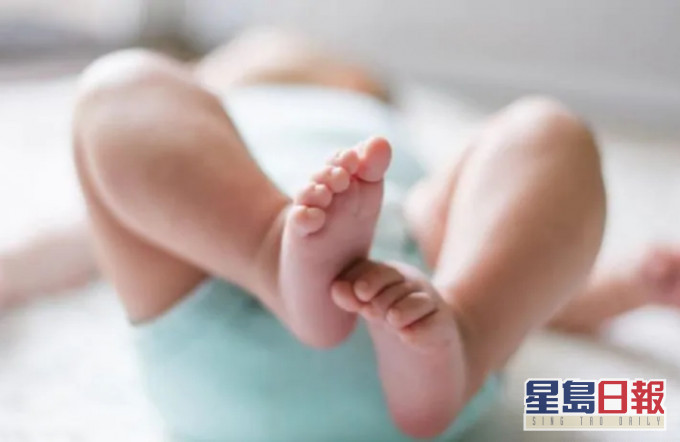 李斯特菌可由孕婦經胎盤傳染給胎兒,或經受感染的產道傳染初生嬰。網圖