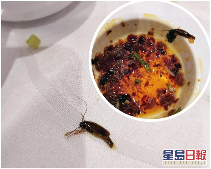 辣蟑螂顏色與辣椒油其他材料相近。fb「香港自助餐夾食集中討論區 hk buffet group」圖片