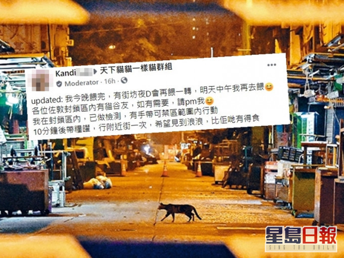 Facebook群組「天下貓貓一樣貓」其中一名版主Kandi,昨日主動遊走「受限區域」為貓貓們送上晚餐。資料圖片(小圖為Facebook截圖)