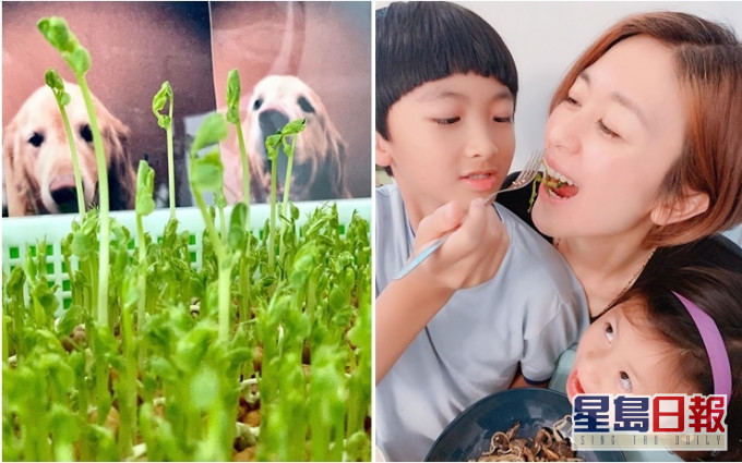 唐寧教一對小朋友種完菜兼煮來食。